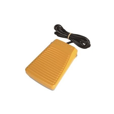 INTERRUPTOR PE 10A 250VAC