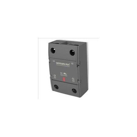 RELE ESTADO SOLIDO HSR-2D