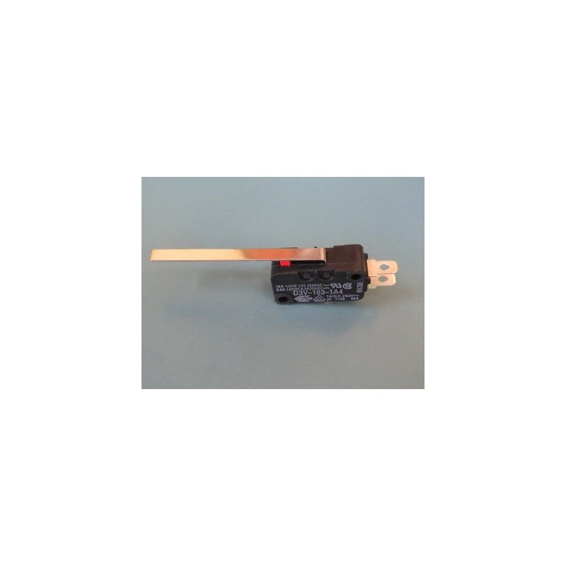 MICRO-INTERRUPTOR C/PATIL